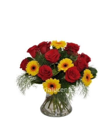 Bouquet d i5 rose rosse e gerbere o girasoli