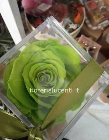 Rose stabilizate