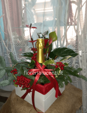 Bollicine
