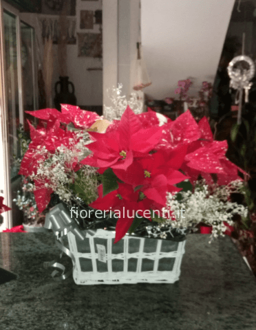 Composizione di stelle di natale 