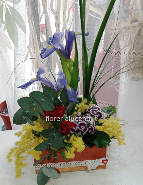 Cassetti a fiorita con mimoea