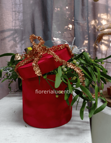 Scatola Natalizia piccola diametro 15