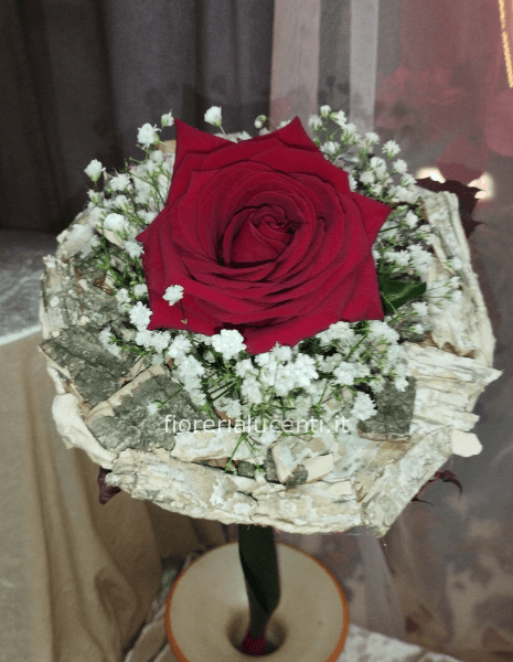 Rosa d'inverno 23