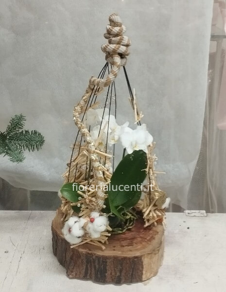 Composizione orchidea