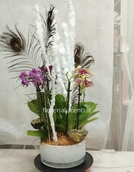 Composizione di orchidee mini