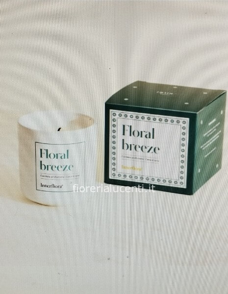 CANDELA FLORAL BREEZE