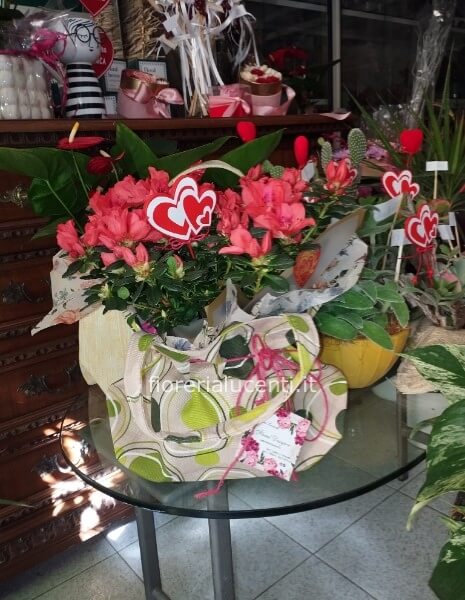 Azalea in borsa